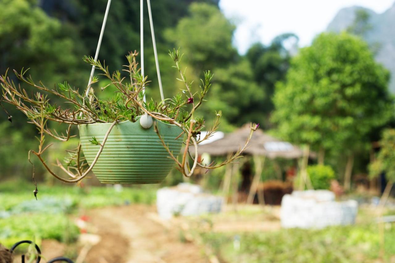 Nirvana Organic Farm Inn Yangshuo Extérieur photo