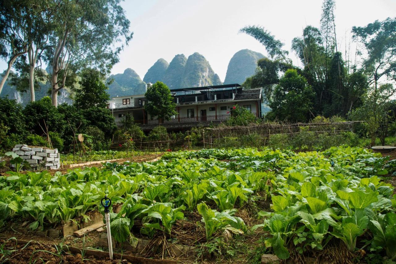 Nirvana Organic Farm Inn Yangshuo Extérieur photo